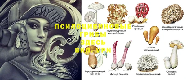крисы Куйбышев