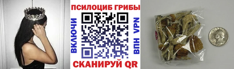 Галлюциногенные грибы мицелий  Купить где  Дюртюли 